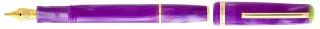 Stylo-plume "JR Pocket Pen" - Paradise Coll. Purple Passion. Pointe fine. Ecrin cadeau.