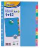 Index standard A4+  1-12.